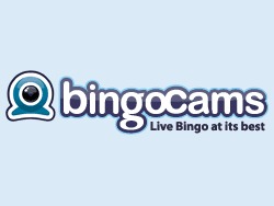 Bingocams