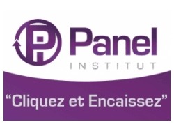 Panel Institut