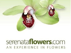 Serenata Flowers
